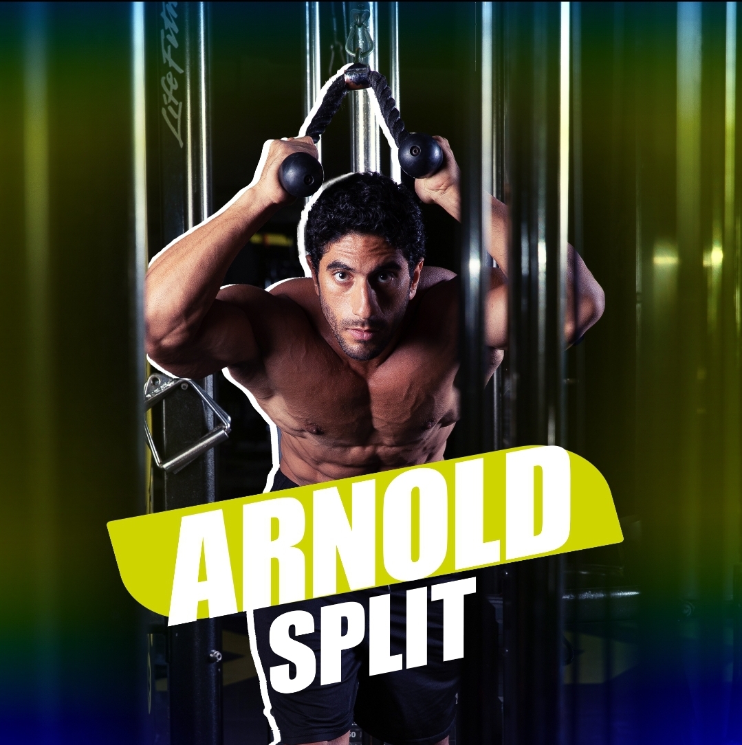 Arnold Split (6 Days)