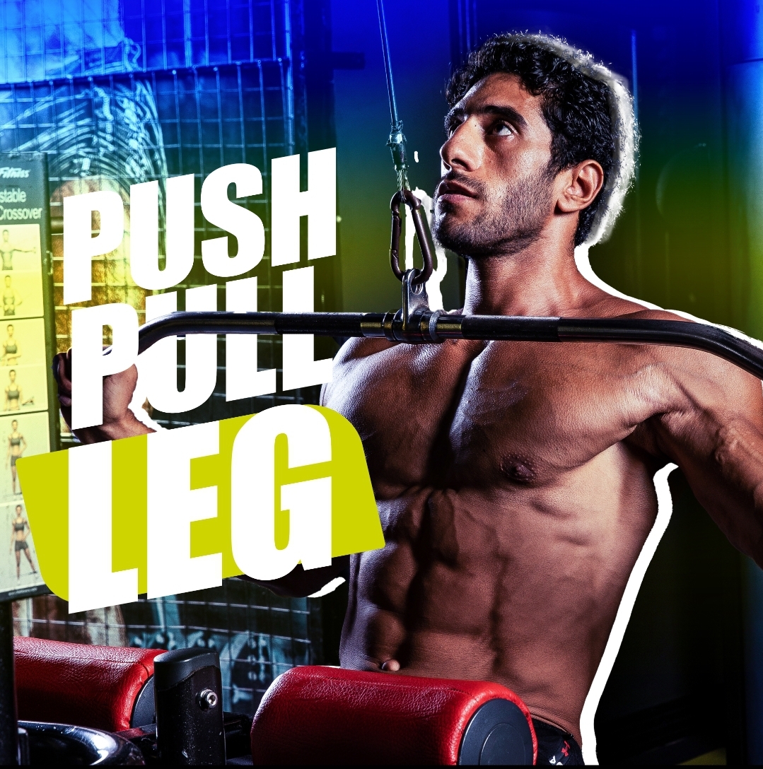 Push - Pull - Leg (6 Days)