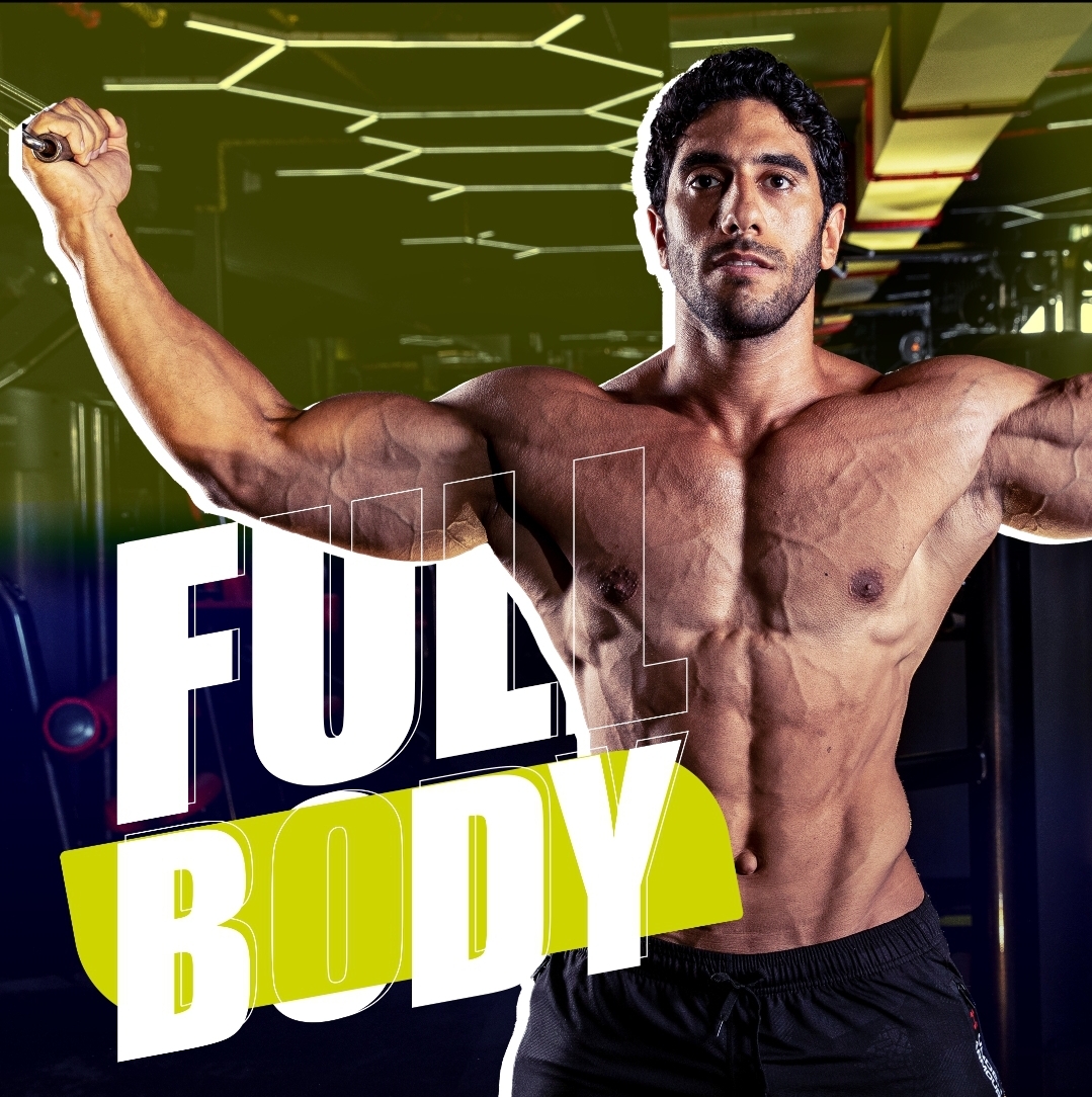 Full Body (3 Days)